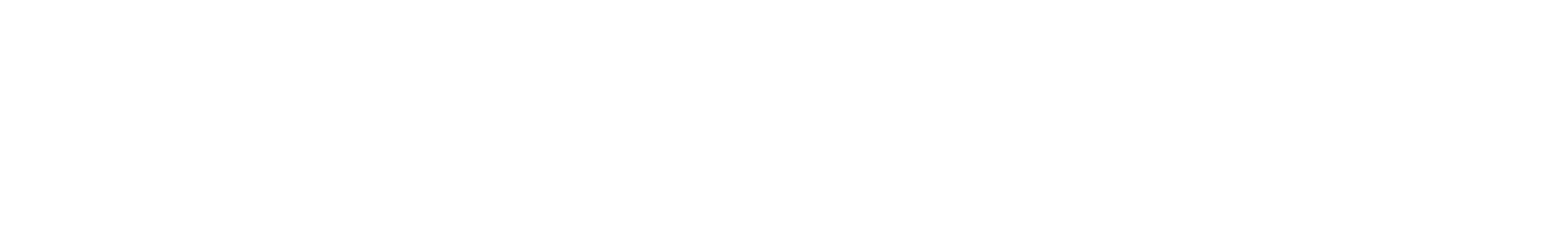 shoestation