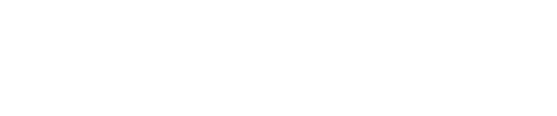 teddybeargoldendoogles
